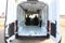 2024 Ford Transit Cargo Van 148 WB Medium Roof Cargo